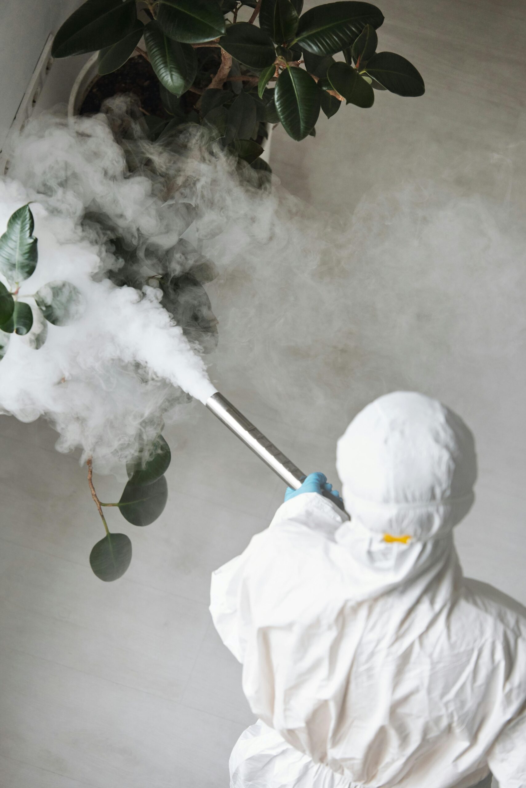 fogger